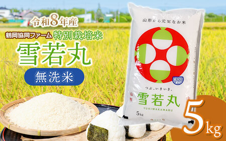 �y�ߘa8�N�Y��s�\��z ���ʍ͔|�� ���ہ@������ 5kg�@(5kg×1��)�@�R�`���߉��Y�@�߉������t�@�[��