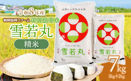 �y�ߘa8�N�Y��s�\��z ���ʍ͔|�Đ��� 7kg (5kg+2kg) �R�`���߉��Y�@�߉������t�@�[��