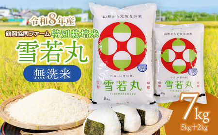 �y�ߘa8�N�Y��s�\��z ���ʍ͔|�Đ��� ������ 7kg (5kg+2kg) �R�`���߉��Y�@�߉������t�@�[��