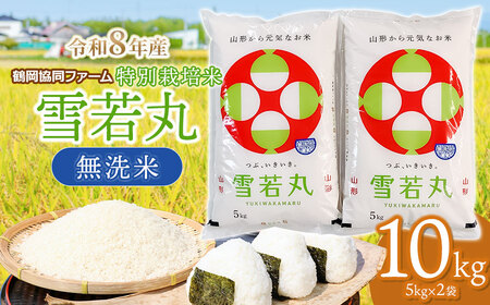 �y�ߘa8�N�Y��s�\��z ���ʍ͔|�Đ��� ������ 10kg (5kg×2��) �R�`���߉��Y�@�߉������t�@�[��