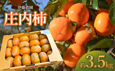 [令和8年産先行予約]庄内柿 約3.5kg 山形県鶴岡市 伊藤農園