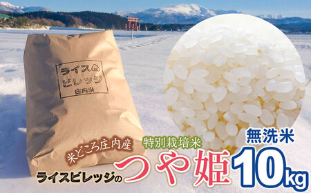 [令和7年産]米どころ庄内産 ライスビレッジの特別栽培米 つや姫 無洗米 10kg K-790