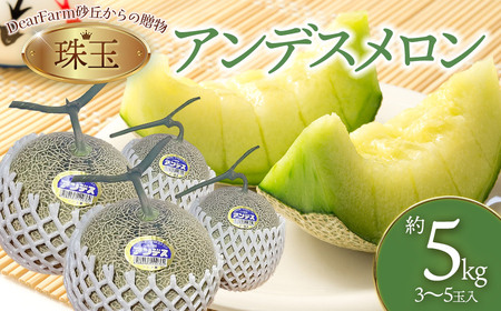 [令和8年産先行予約] DearFarm砂丘からの贈物 [珠玉アンデスメロン] 約5kg(3〜5玉)山形県鶴岡市 K-836