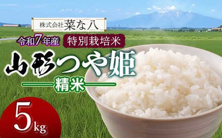 [令和7年産] 特別栽培米 山形つや姫 精米 5kg (5kg×1袋) 山形県鶴岡市産 株式会社菜な八(鶴岡ファーマーズ)