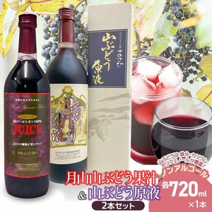 月山山ぶどう果汁・原液セット 各720ml×1本 山形県鶴岡市 庄内観光物産館事業部 | ぶどう 果汁 ブドウジュース 果汁100% 果汁飲料 飲料 飲み物 セット ジュース 果汁 山ぶどう 山形県 鶴岡市 返礼品