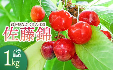 [令和8年産先行予約] 鈴木弥吉さくらんぼ園の佐藤錦 Lサイズ バラ詰め 1kg (500g×2) 山形県鶴岡産 K-866 | サクランボ チェリー 果物 くだもの フルーツ 1キロ 旬 人気 美味しい 2026年産 お取り寄せ 返礼品