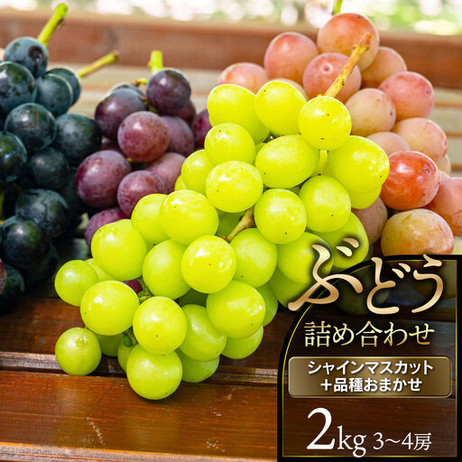 [令和8年産先行予約] ぶどう詰め合わせ(品種おまかせ) 2kg(3〜4房) 山形県鶴岡市 鶴岡中央青果 | ぶどう ブドウ 葡萄 果物 くだもの フルーツ 食べ比べ 2キロ 旬 期間限定 2026年産 人気 美味しい お取り寄せ 返礼品
