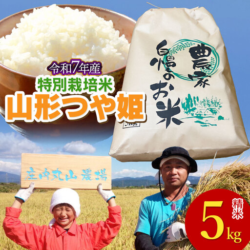 [令和7年産]特別栽培米つや姫 精米 5kg 山形県鶴岡市 庄内丸山農場 | つやひめ 5キロ 米どころ 庄内米 ブランド米 米 コメ こめ 精米 ご飯 ごはん 美味しい お取り寄せ 農家直送 東北 国産 返礼品