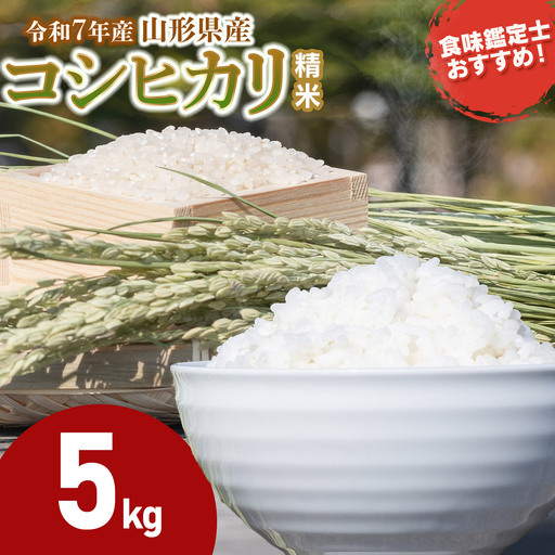 [令和7年産] コシヒカリ 精米 5kg (5kg×1袋) 山形県産 米食味鑑定士お薦め 