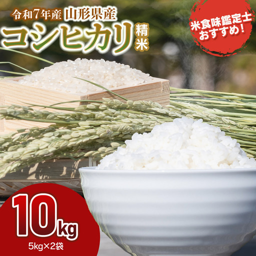 【令和7年産】 コシヒカリ 精米 10kg (5kg×2袋)　山形県産　米食味鑑定士お薦め　| こしひかり 10キロ 米 お米 コメ 白米 食品 ご飯 ごはん 美味しい おいしい ブランド米 おすすめ 人気 山形県 鶴岡市 東北 国産 お取り寄せ 返礼品