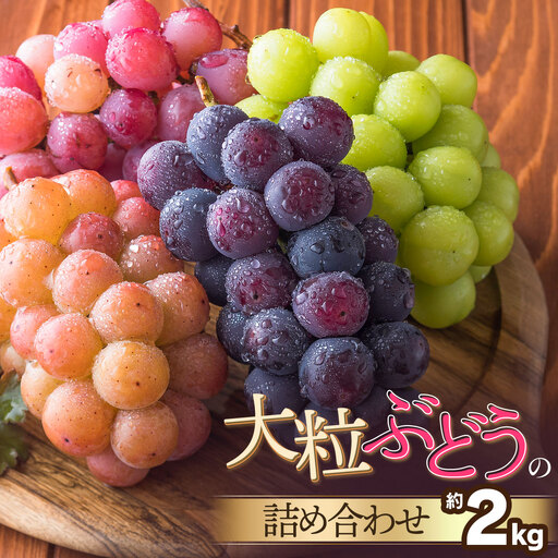 [令和8年産先行予約] 大粒ぶどうの詰合せ 約2kg 山形県鶴岡産 産直あぐり K-852 | ブドウ 葡萄 食べ比べ 果物 くだもの フルーツ 2キロ 旬 期間限定 2026年産 人気 美味しい お取り寄せ 返礼品