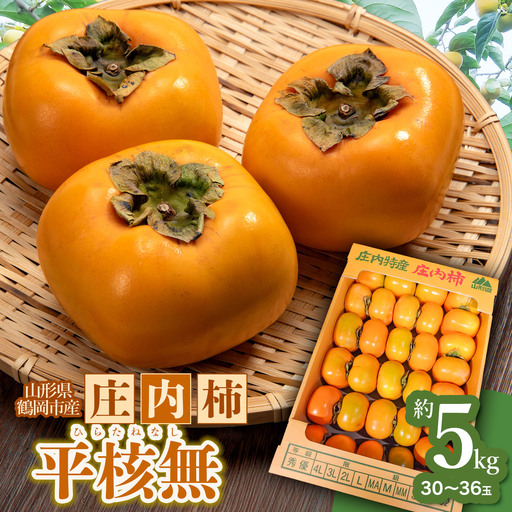[令和8年産先行予約] 庄内柿 平核無 5kg(30〜36玉) 山形県鶴岡市 わたなべフルーツファクトリー 