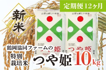 J64-001　【定期便12ヶ月】【令和4年産米】特別栽培米つや姫10kg（5kg×2袋）×12ヶ月
