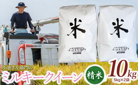 ʌ yߘa7NYs\z R`Y rq̂ ~L[NC[  10kg (5kg×2)