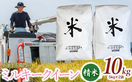 数量限定 【令和6年産先行予約】 山形県庄内産 小池半左衛門のお米 ミルキークイーン 精米 10kg (5kg×2袋)