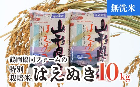 【令和4年産米】特別栽培米はえぬき無洗米10㎏（5kg×2袋）