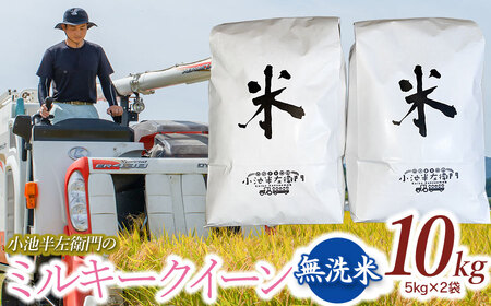 数量限定 【令和6年産先行予約】 山形県庄内産 小池半左衛門のお米 ミルキークイーン 無洗米 10kg (5kg×2袋)