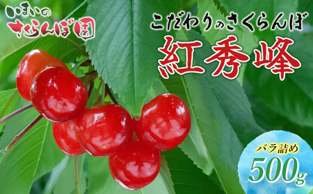 【令和7年産先行予約】こだわりのさくらんぼ「紅秀峰」バラ詰め 500g いまいのさくらんぼ園 K-732