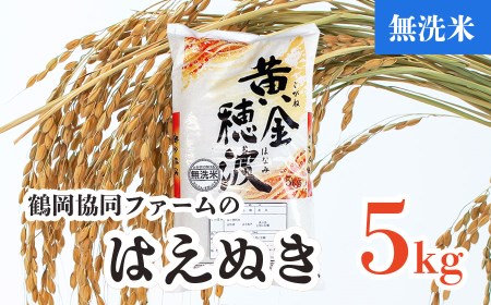 V04-002　【令和4年産米】はえぬき無洗米5㎏（5kg&#215;1袋）