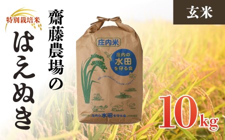 斎藤農場の特別栽培米はえぬき玄米10㎏のレビュー | ふるさと納税