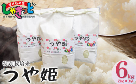 [令和5年産米] 特別栽培米つや姫 6kg(2kg×3袋)山形県鶴岡産 百万石の里しゃきっと