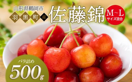 【令和6年産先行予約】さくらんぼ 佐藤錦 バラ詰め M～Lサイズ混合 500g 庄内さくらんぼ園