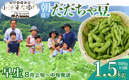 [令和6年産 先行予約]朝採りだだちゃ豆 [早生]1.5kg (500g×3袋) 枝豆 小池半左衛門