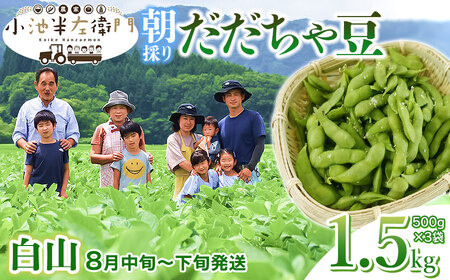 [令和6年産 先行予約]朝採りだだちゃ豆 [白山]1.5kg (500g×3袋) 枝豆 小池半左衛門