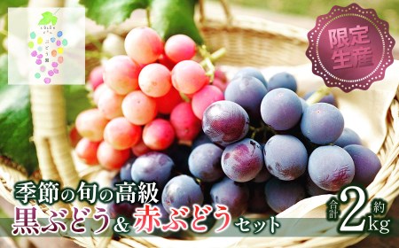 [令和6年産先行予約][限定生産]幻の種あり品種 ぶどうの詰合せ 約2kg 季節の旬の高級黒ぶどう・赤ぶどう(高墨・シナノスマイル)セット カラフルぶどう園