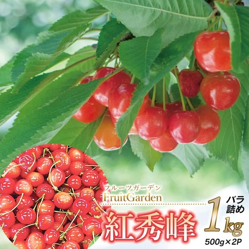 【令和8年産】フルーツガーデンのさくらんぼ 〈紅秀峰〉 バラ詰め L～2Lサイズ 1kg（500g×2）　山形県鶴岡市　|  サクランボ チェリー 紅秀峰 果物 くだもの フルーツ 1キロ 甘い 完熟 旬 産地直送 果汁  人気 美味しい 2026年産 お取り寄せ 庄内地方 東北 返礼品 