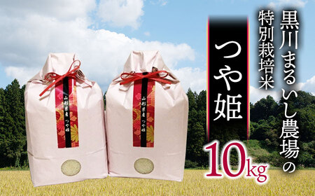 A55-007[令和5年産] 黒川まるいし農場の特別栽培米つや姫10kg (5kg×2袋)
