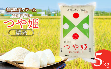 [令和6年産先行予約] 特別栽培米つや姫 5kg (5kg×1袋) 山形県鶴岡産 鶴岡協同ファーム