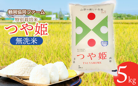 【令和6年産先行予約】 特別栽培米つや姫 無洗米 5kg (5kg×1袋) 山形県鶴岡産　鶴岡協同ファーム