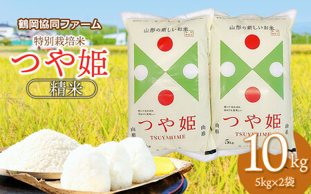 【令和7年産先行予約】 特別栽培米つや姫 10kg (5kg×2袋) 山形県鶴岡産　鶴岡協同ファーム