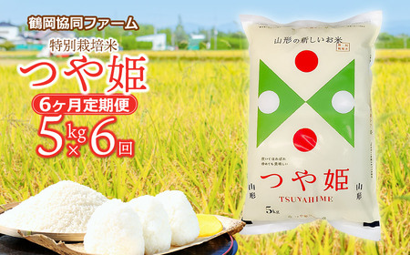 [令和6年産先行予約]特別栽培米つや姫 5kg (5kg×1袋)×6ヶ月[定期便] 鶴岡協同ファーム
