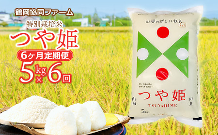 [令和7年産先行予約]特別栽培米つや姫 5kg (5kg×1袋)×6ヶ月[定期便] 鶴岡協同ファーム