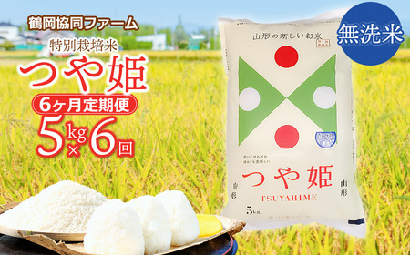 [令和6年産先行予約]特別栽培米つや姫 無洗米 5kg (5kg×1袋)×6ヶ月[定期便] 鶴岡協同ファーム