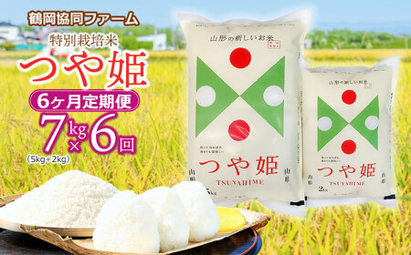 【令和7年産先行予約】特別栽培米つや姫 7kg (5kg+2kg)×6ヶ月【定期便】　鶴岡協同ファーム 