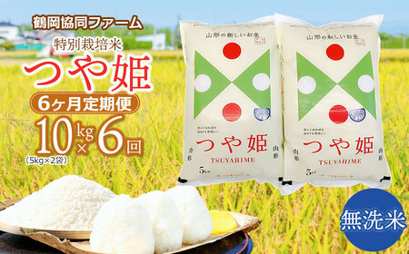 【令和6年産先行予約】特別栽培米つや姫 無洗米 10kg (5kg×2袋)×6ヶ月【定期便】　鶴岡協同ファーム