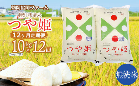 【令和7年産先行予約】特別栽培米つや姫 無洗米 10kg (5kg×2袋)×12ヶ月【定期便】　鶴岡協同ファーム