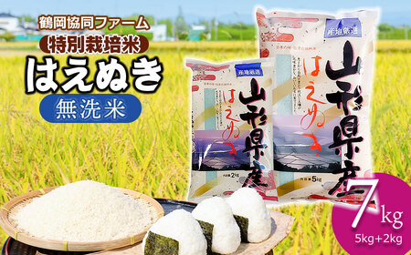 [令和6年産先行予約] 特別栽培米はえぬき 無洗米 7kg (5kg+2kg) 山形県鶴岡産 鶴岡協同ファーム