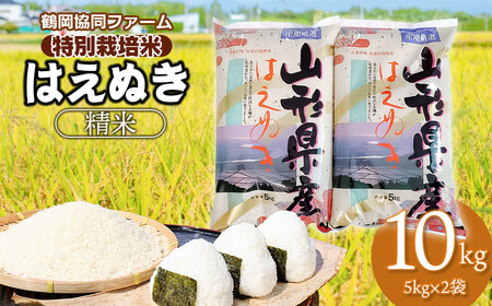 【令和6年産先行予約】 特別栽培米はえぬき 10kg (5kg×2袋) 山形県鶴岡産　鶴岡協同ファーム