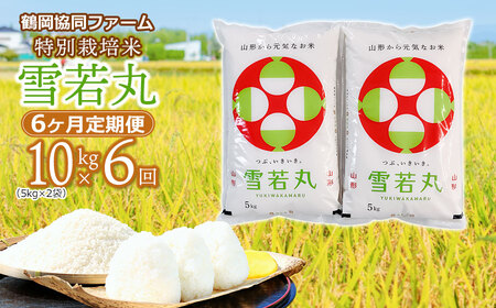 【令和7年産先行予約】 特別栽培米雪若丸 10kg (5kg×2袋) ×6ヶ月【定期便】 山形県鶴岡産　鶴岡協同ファーム