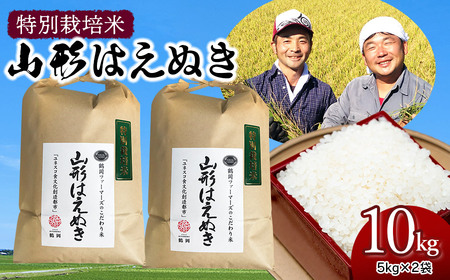 [令和6年産先行予約]特別栽培米 山形はえぬき精米10kg(5kg×2袋) 山形県鶴岡市産 鶴岡ファーマーズ