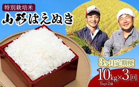 [令和7年産先行予約]特別栽培米 山形はえぬき 精米10kg(5kg×2袋)×3ヶ月 山形県鶴岡市産 鶴岡ファーマーズ