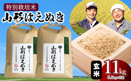 [令和6年産先行予約]特別栽培米 山形はえぬき玄米11kg(5.5kg×2袋) 山形県鶴岡市産 鶴岡ファーマーズ