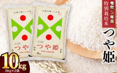 [令和5年産] 山形県庄内産 特別栽培米 つや姫10kg(5kg×2) 鶴岡米穀商業協同組合