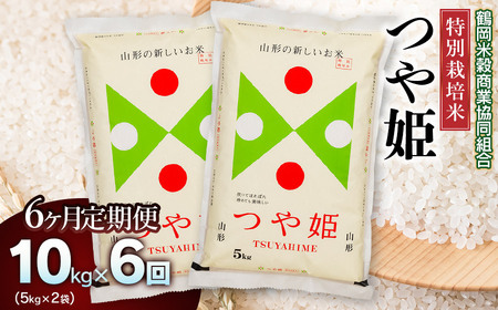 【令和6年産】特別栽培米 つや姫10kg（5kg×2）【6回定期便】　山形県庄内産