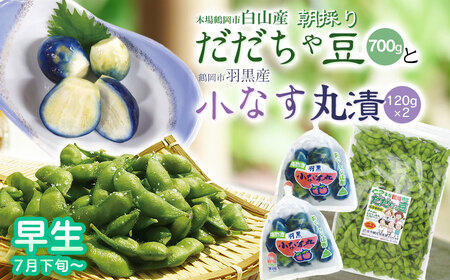 令和7年産 朝採りだだちゃ豆(早生)700gと小なす丸漬240g(120g×2)セット