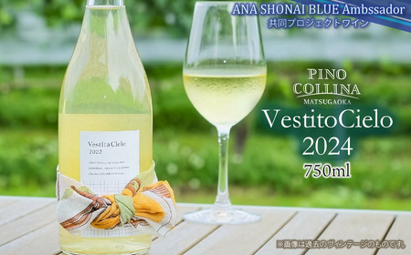 白ワイン Vestito Cielo 2024 750ml×1本 株式会社エルサン 国産 日本ワイン